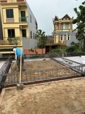 Dịch vụ phòng chống mối tại Vĩnh Yên hiệu quả 100% bởi công ty Sơn Hà