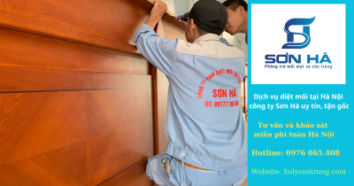 Dịch vụ diệt mối tại Hà Nội của công ty Sơn Hà- Diệt mooia không đục phá, bảo hành 2-5 năm