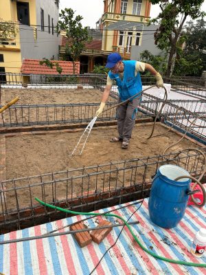 Phun thuốc phòng chống mối cho công trình xây dựng tại Hà Đông