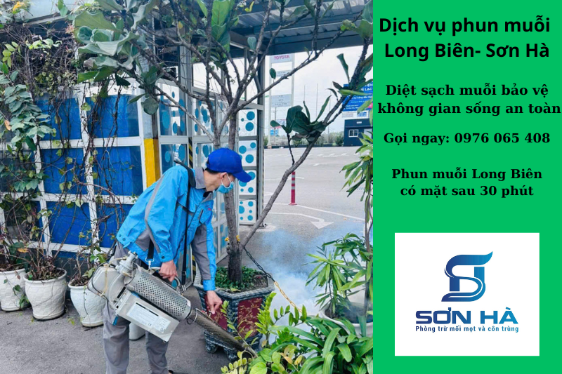Kỹ thuật viên đang phun xông khói khu vực bui cây công ty tại Long Biên, đảm bảo sạch muỗi, không ảnh hưởng môi trường.