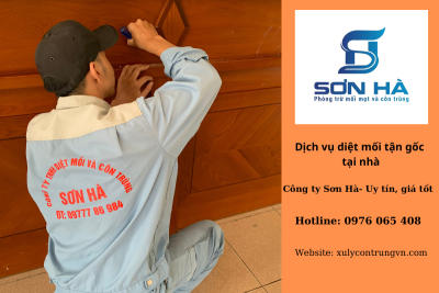Dịch vụ diệt mối tận gốc tại Bắc Từ Liêm – Sơn Hà chuyên nghiệp, an toàn, uy tín