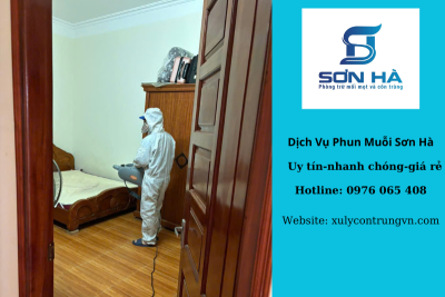 DỊCH VỤ PHUN MUỖI TẠI LONG BIÊN – SƠN HÀ CHUYÊN NGHIỆP, HIỆU QUẢ, AN TOÀN