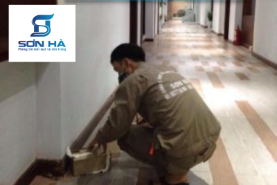 Kỹ thuật viên Sơn Hà đặt hộp nhử mối tại nhà khách hàng ở Hà Đông
