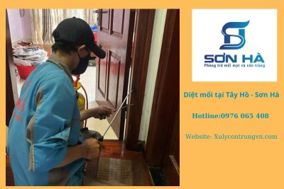 Diệt Mối Tại Quận Tây Hồ, dịch vụ diệt mối tận gốc uy tín, công ty diệt mối Sơn Hà